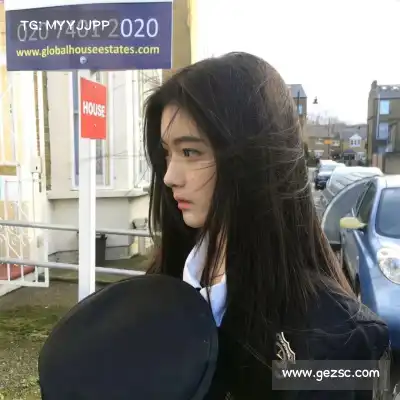 丁震
